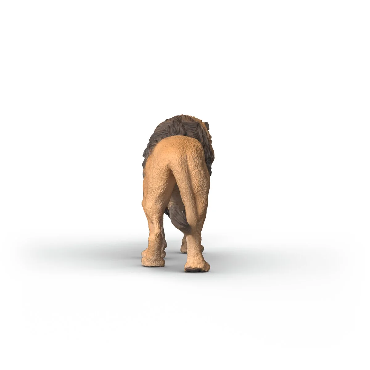 Afrikanischer Löwe - Image 4