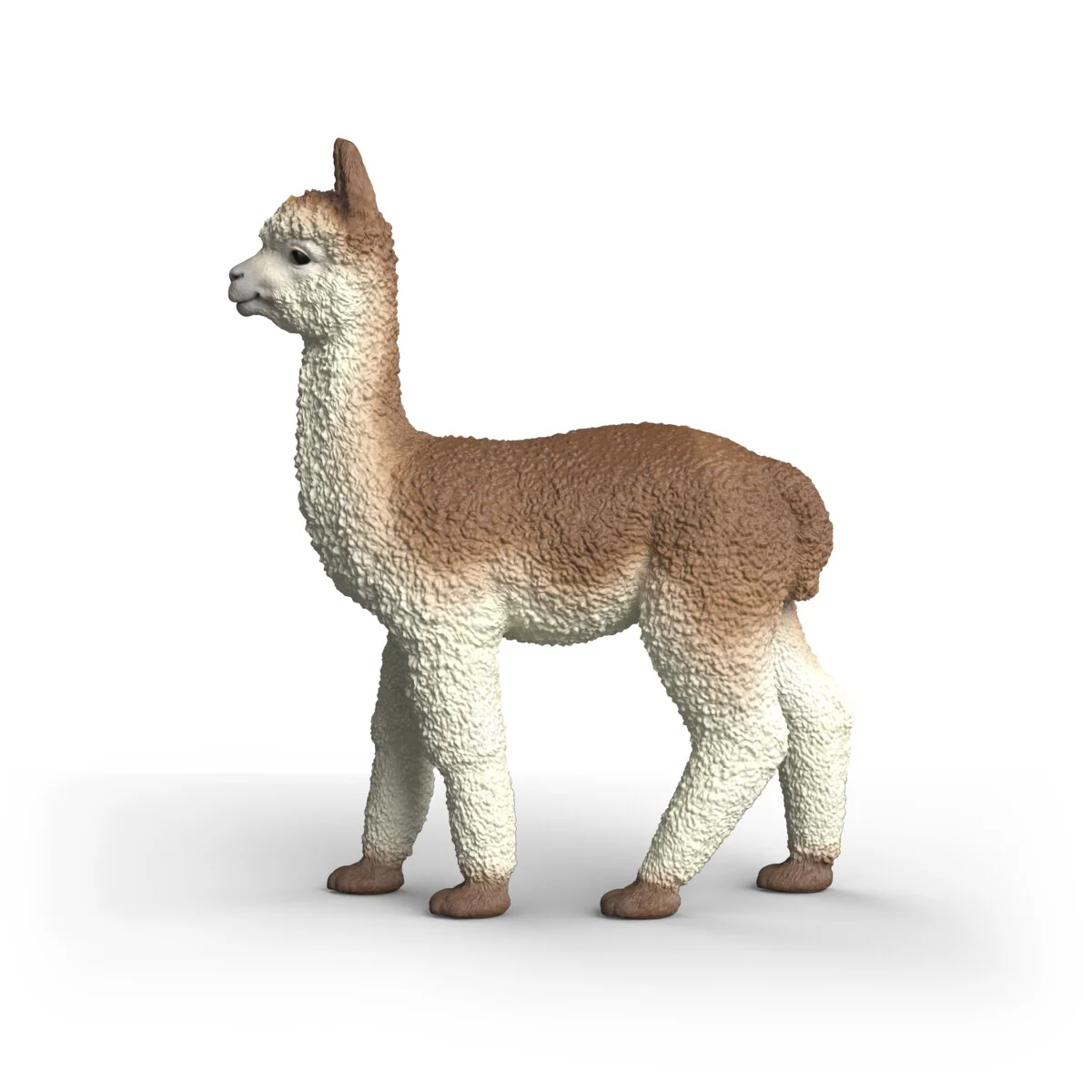 Alpaka - Image 3