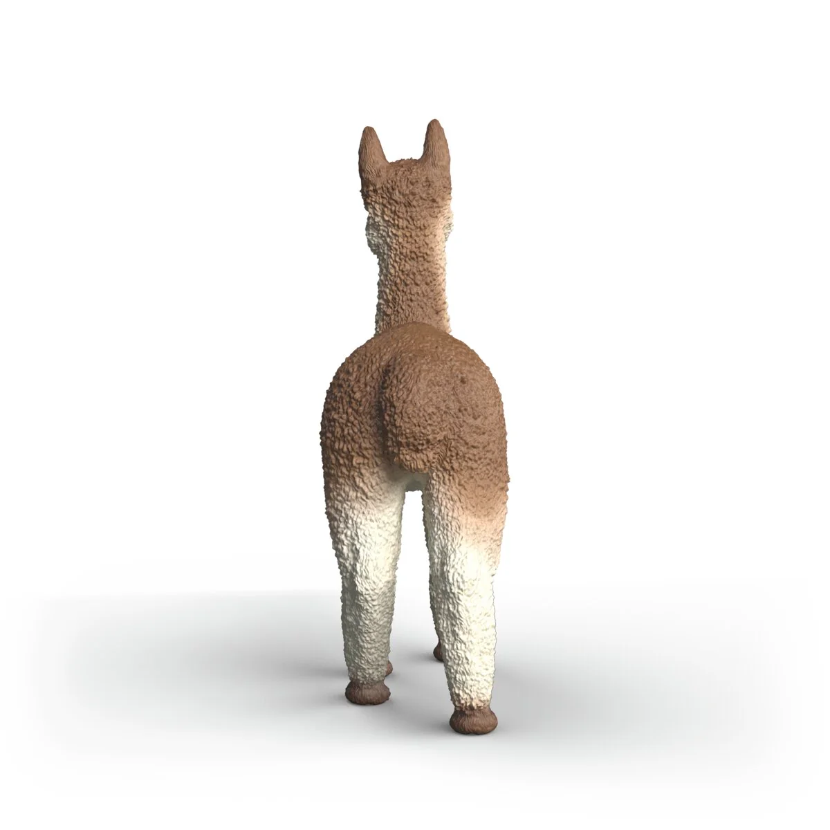 Alpaka - Image 4
