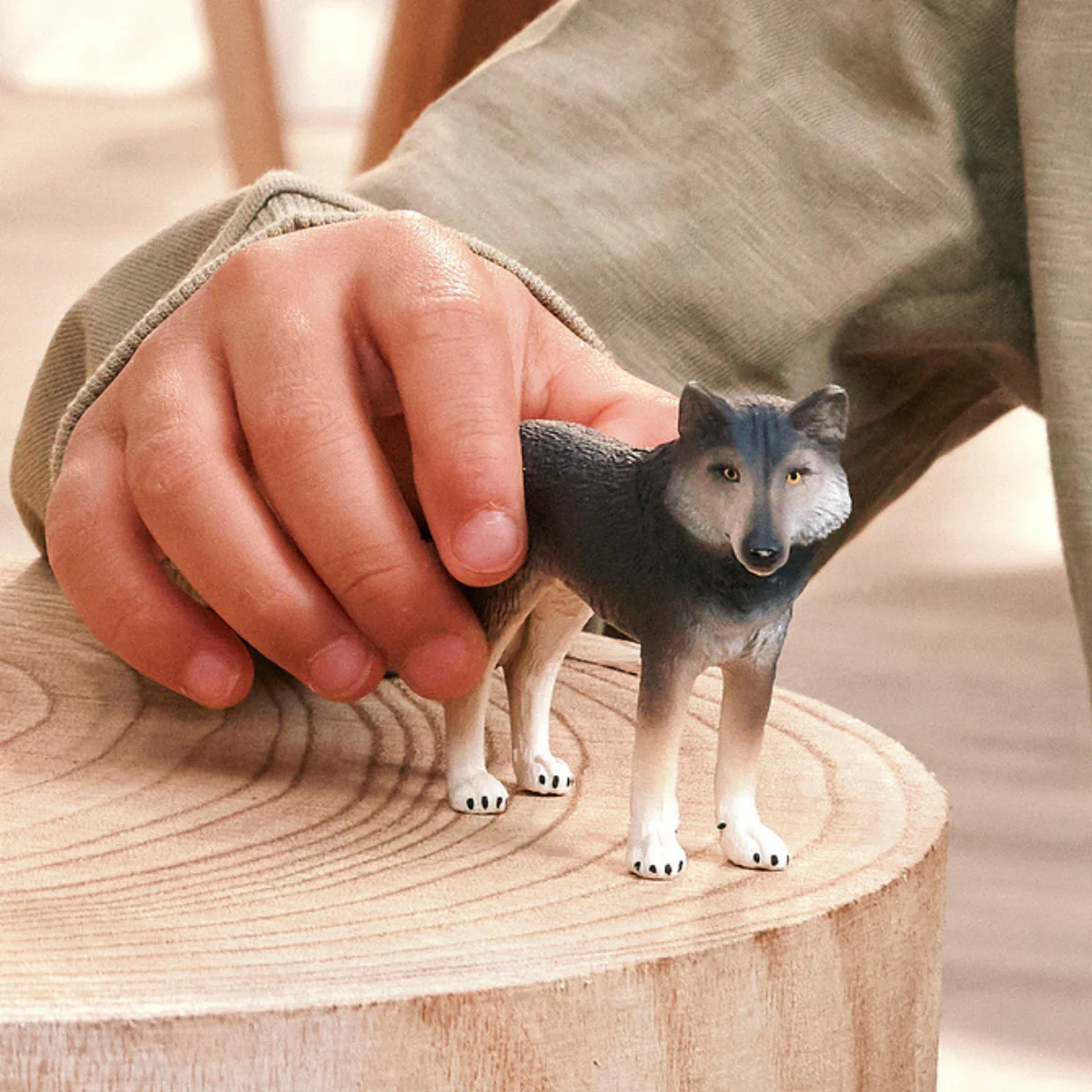 Amerikanischer Wolf - Image 2