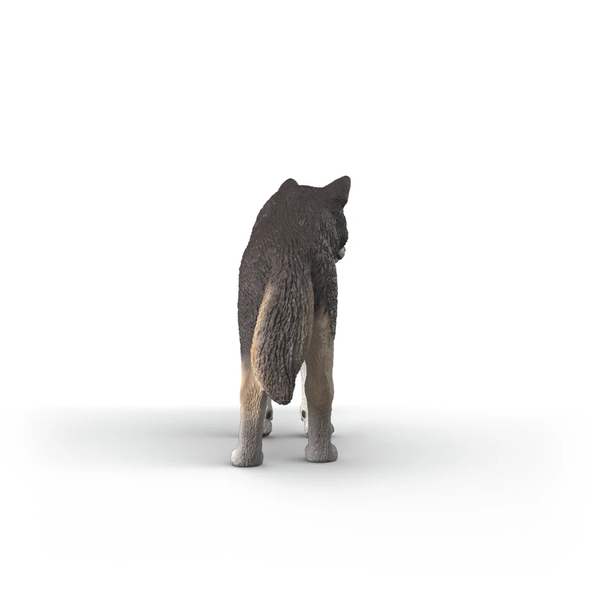 Amerikanischer Wolf - Image 4