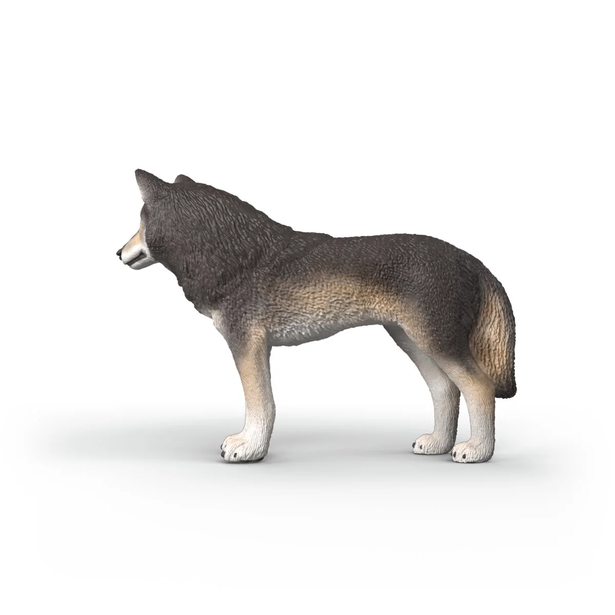 Amerikanischer Wolf - Image 5