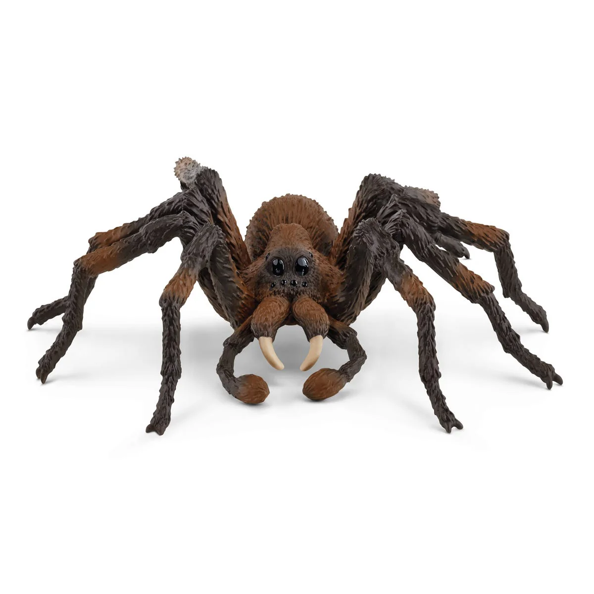 Aragog - Image 3