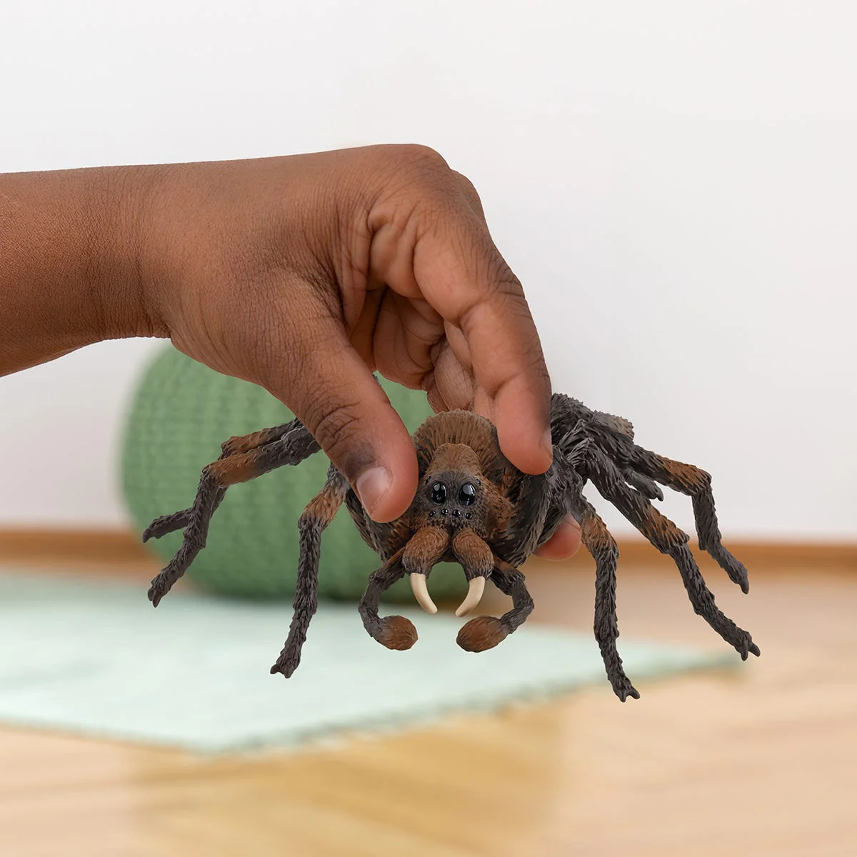 Aragog - Image 4