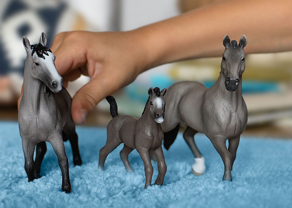 Cheval de Selle Francais Stute - Image 2