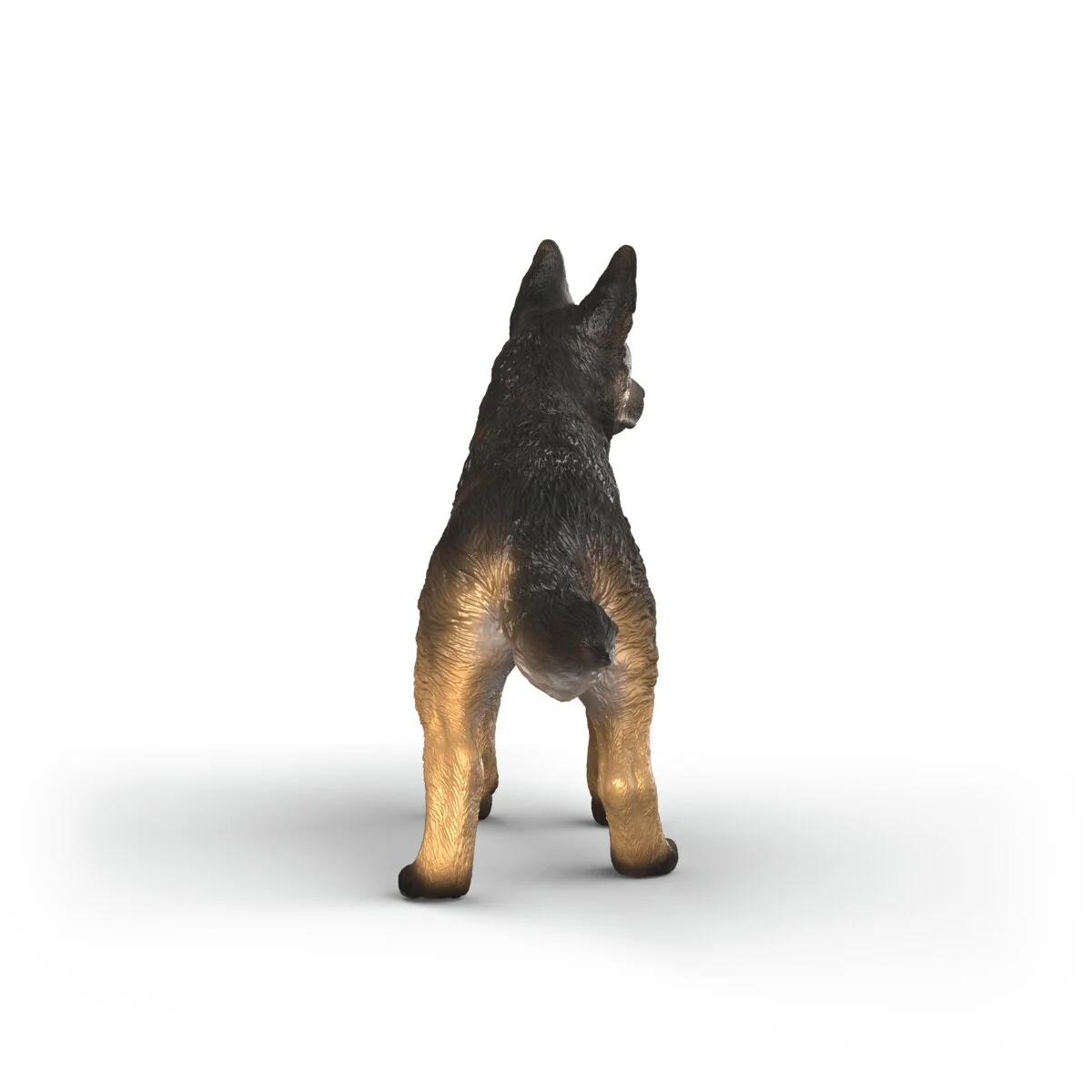 Deutscher Schäferhund Hündin - Image 3