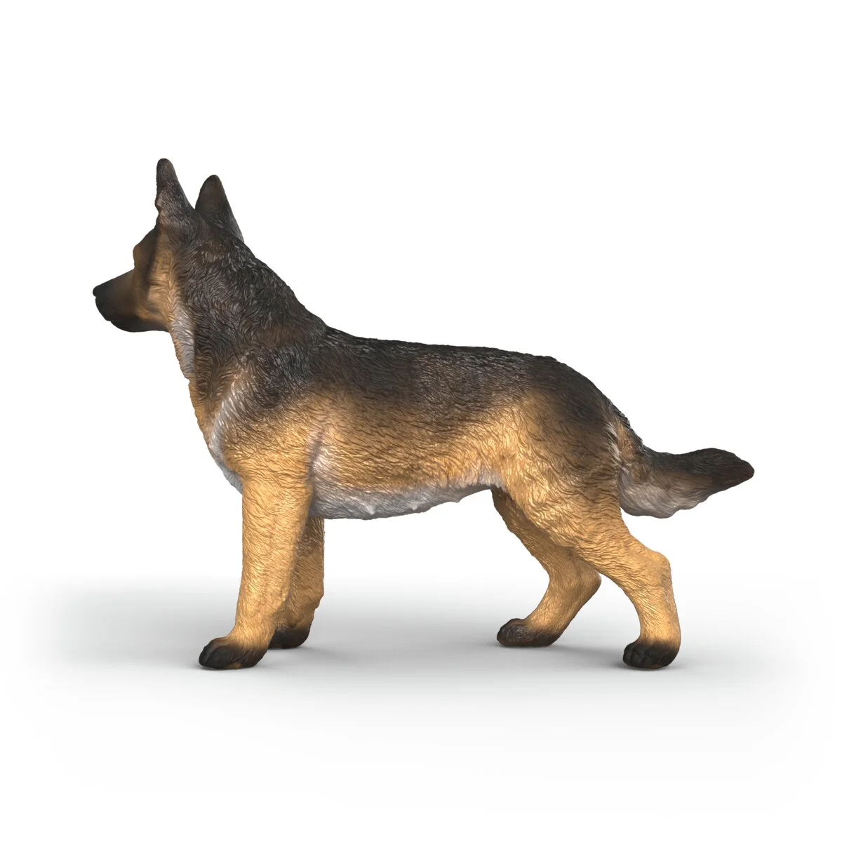 Deutscher Schäferhund Hündin - Image 4