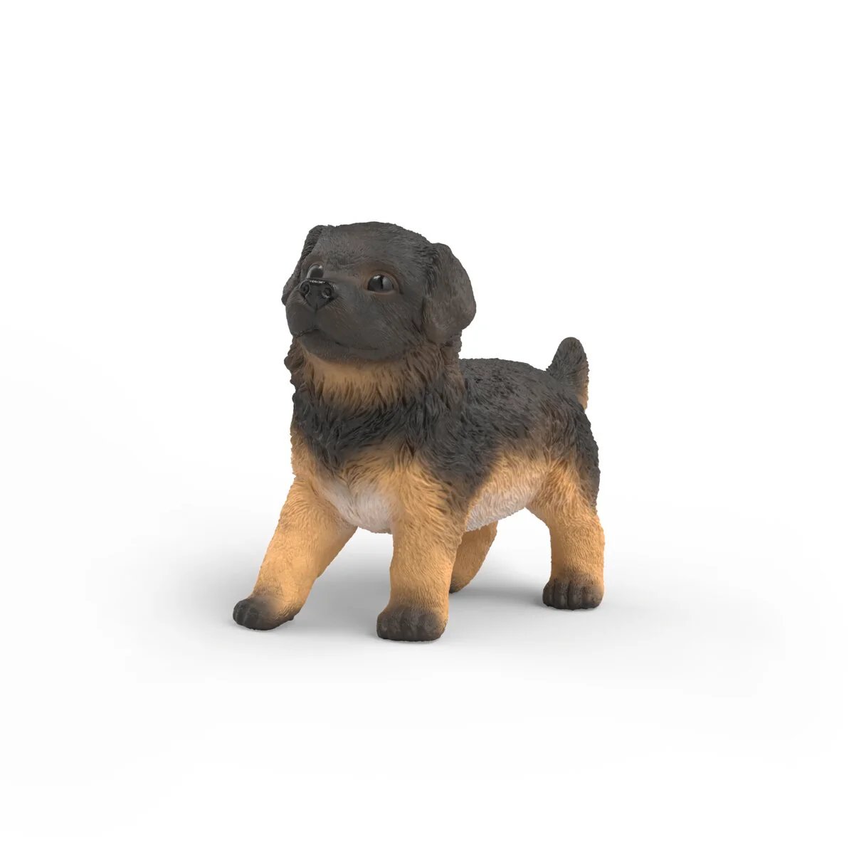 Deutscher Schäferhund Welpe