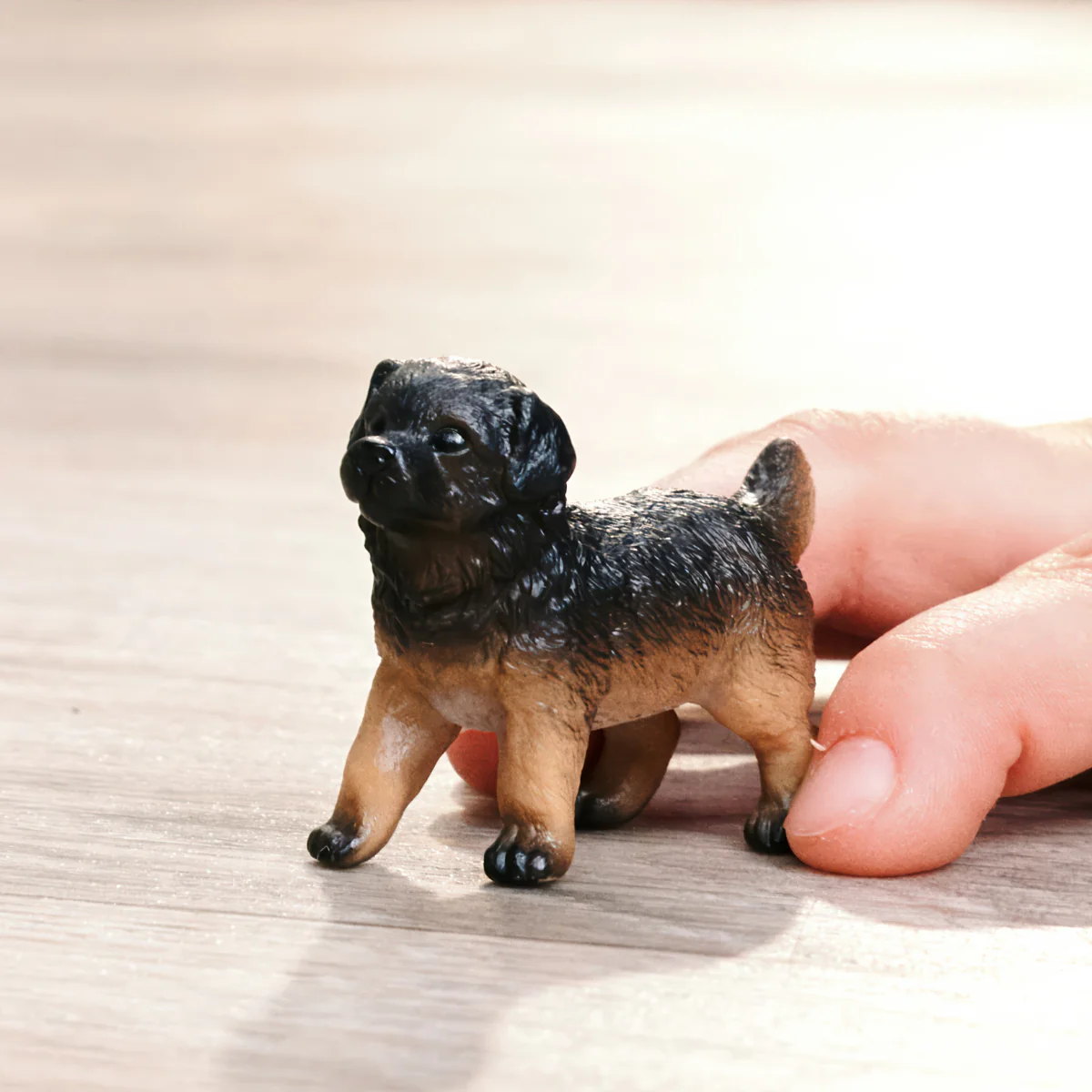 Deutscher Schäferhund Welpe - Image 2
