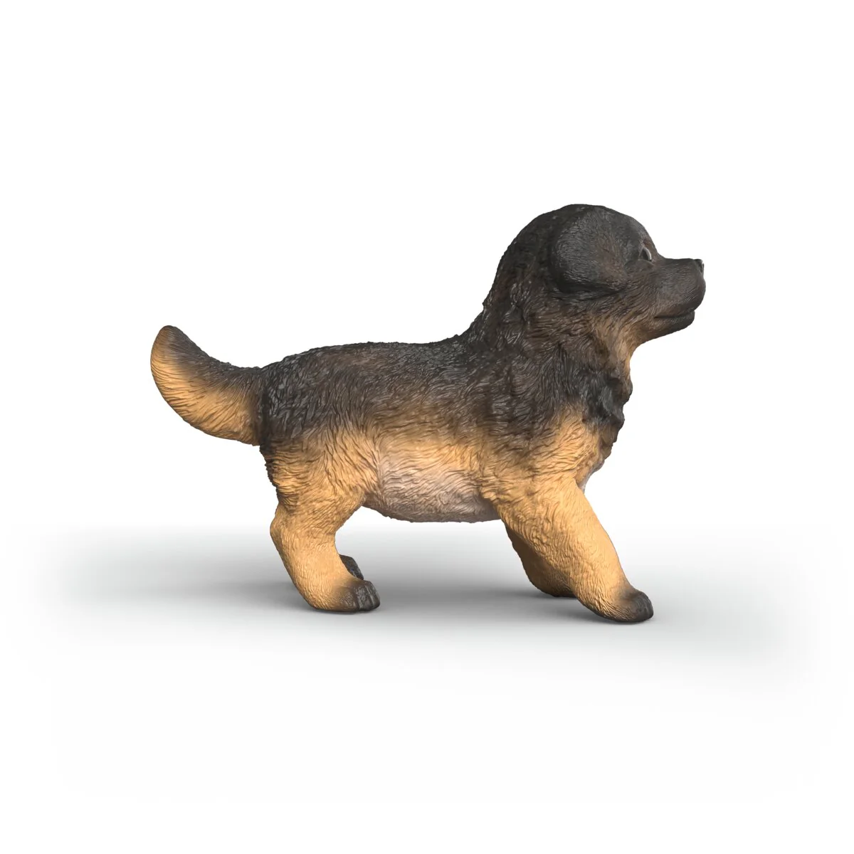 Deutscher Schäferhund Welpe - Image 3