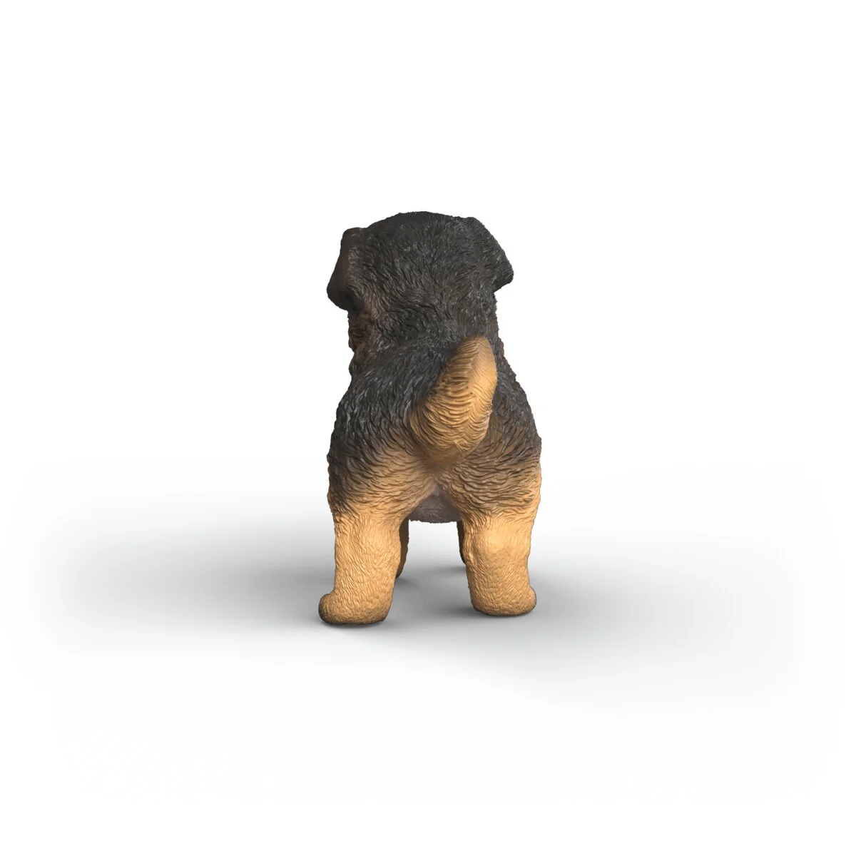 Deutscher Schäferhund Welpe - Image 4