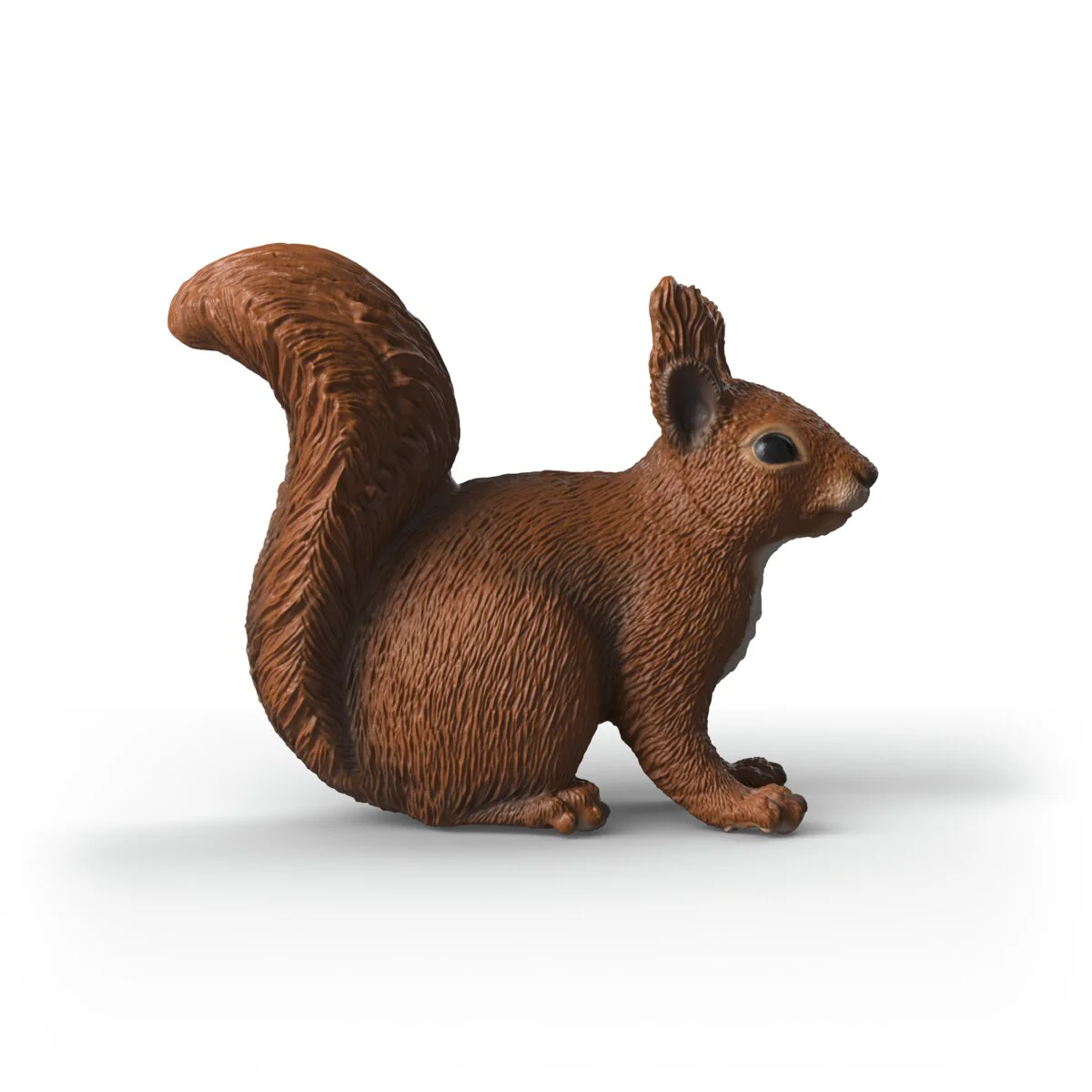 Eichhörnchen - Image 3