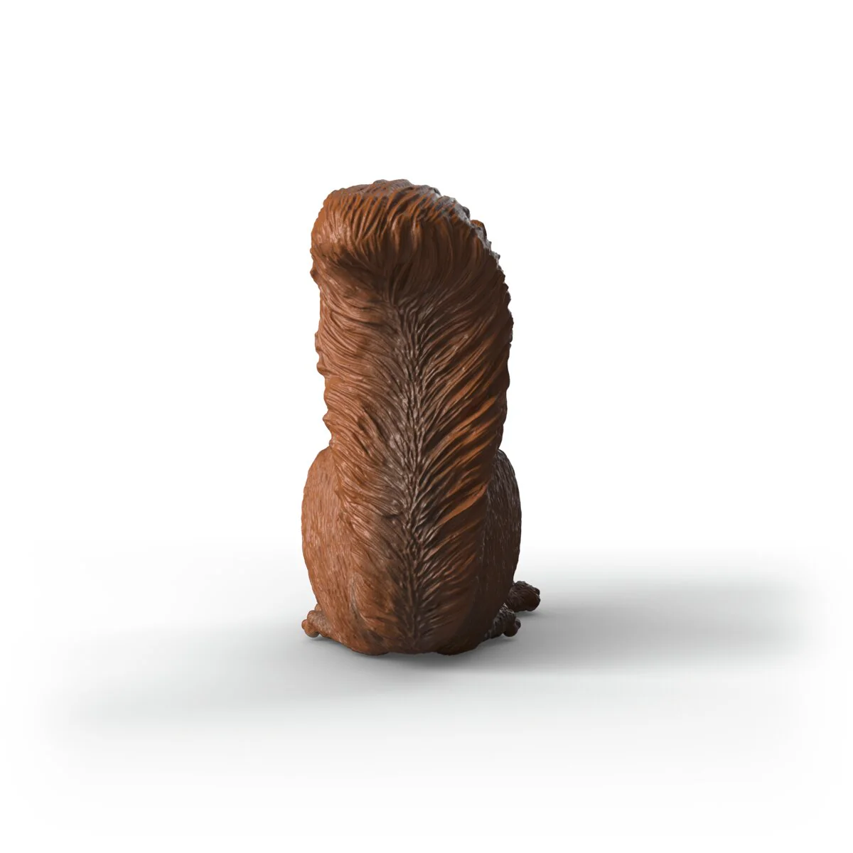 Eichhörnchen - Image 4