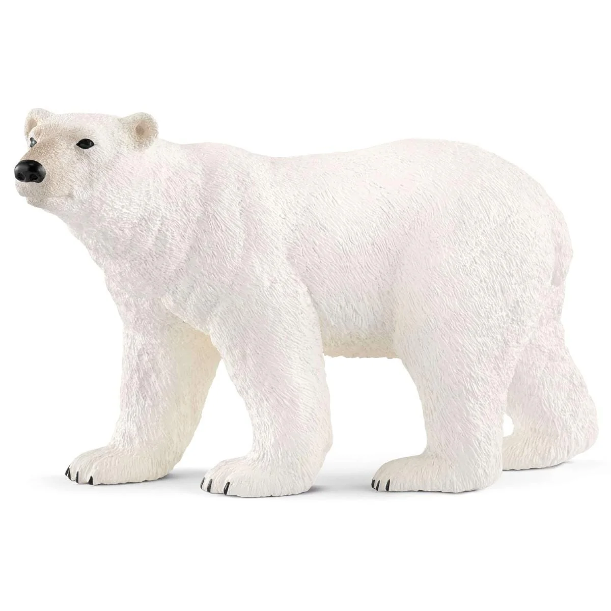 Eisbär (bundle)
