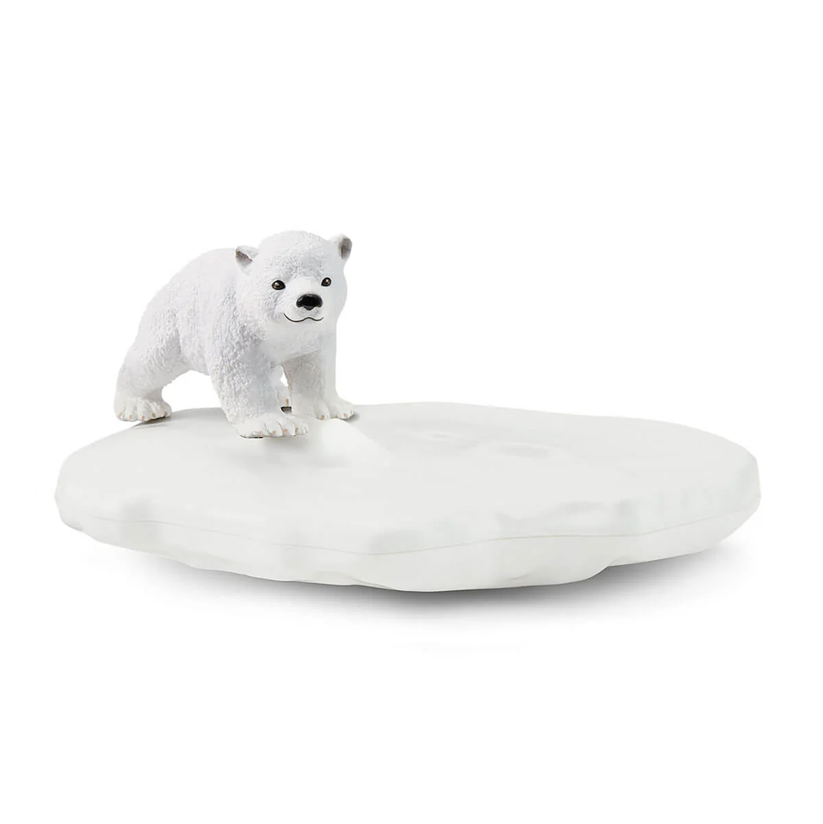 Eisbären-Rutschpartie - Image 5