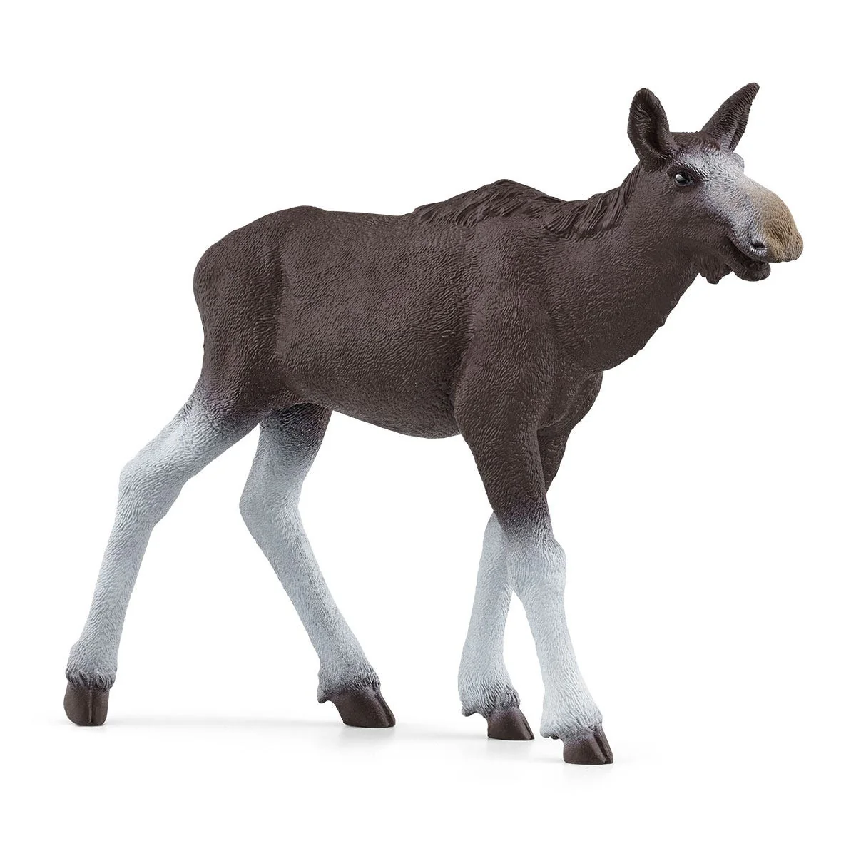 Elchkuh mit Kalb - Image 4