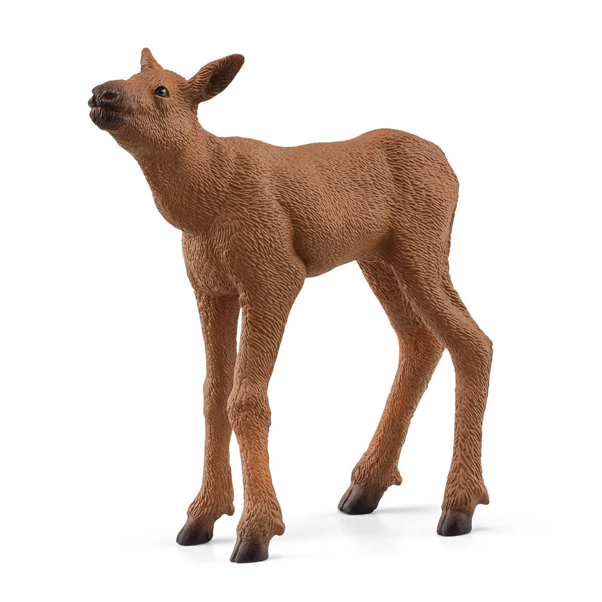 Elchkuh mit Kalb - Image 5