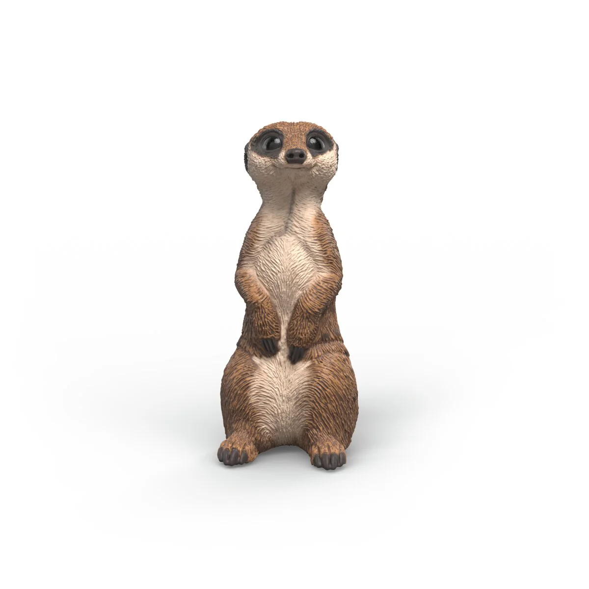 Erdmännchen