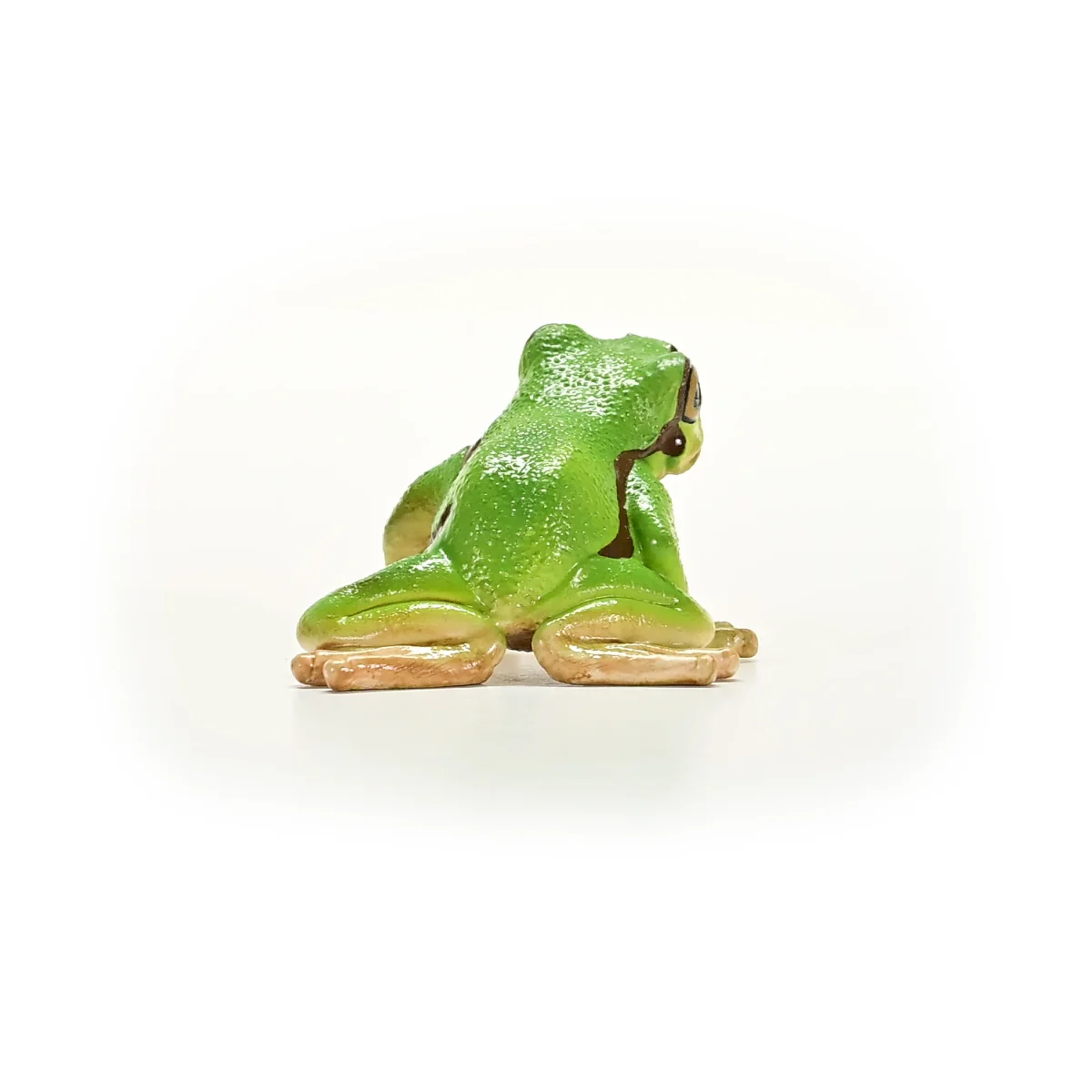 Europäischer Laubfrosch - Image 3