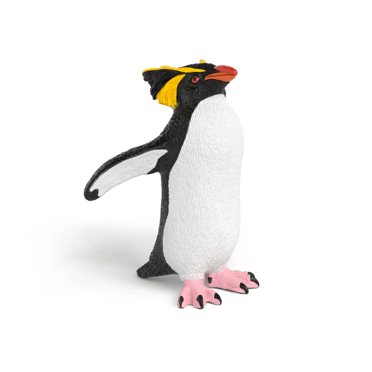 Felsenpinguin