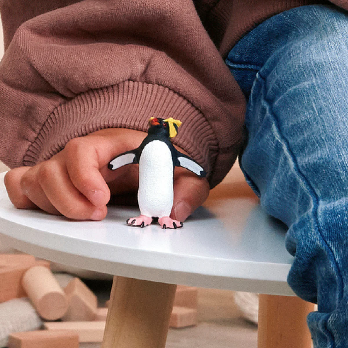 Felsenpinguin - Image 2