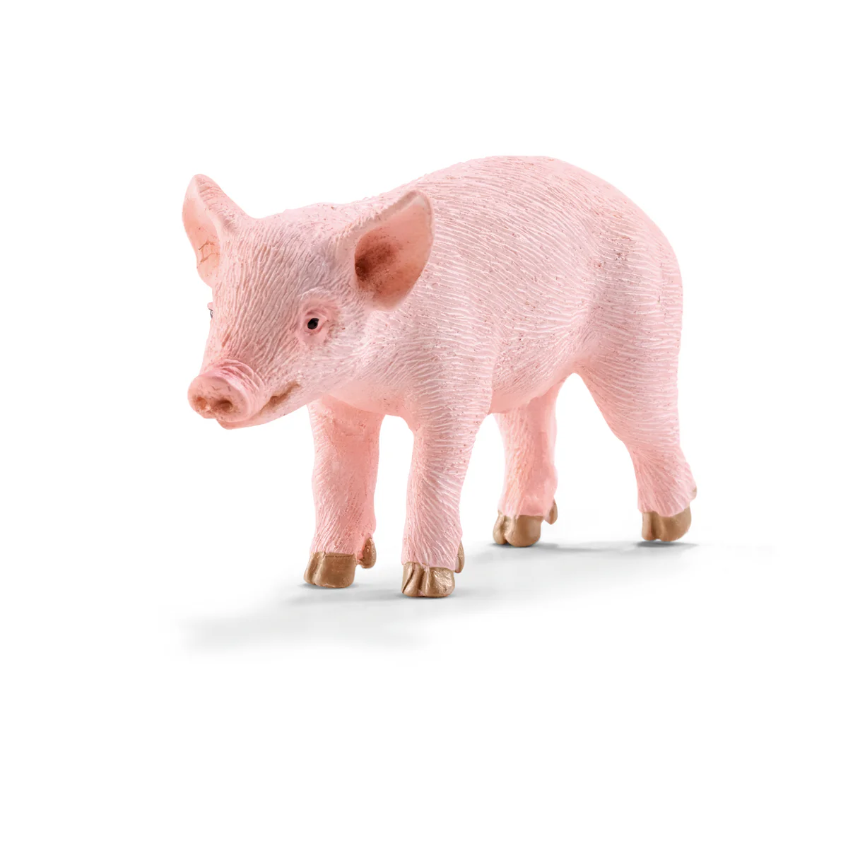 Ferkel (Bundle)