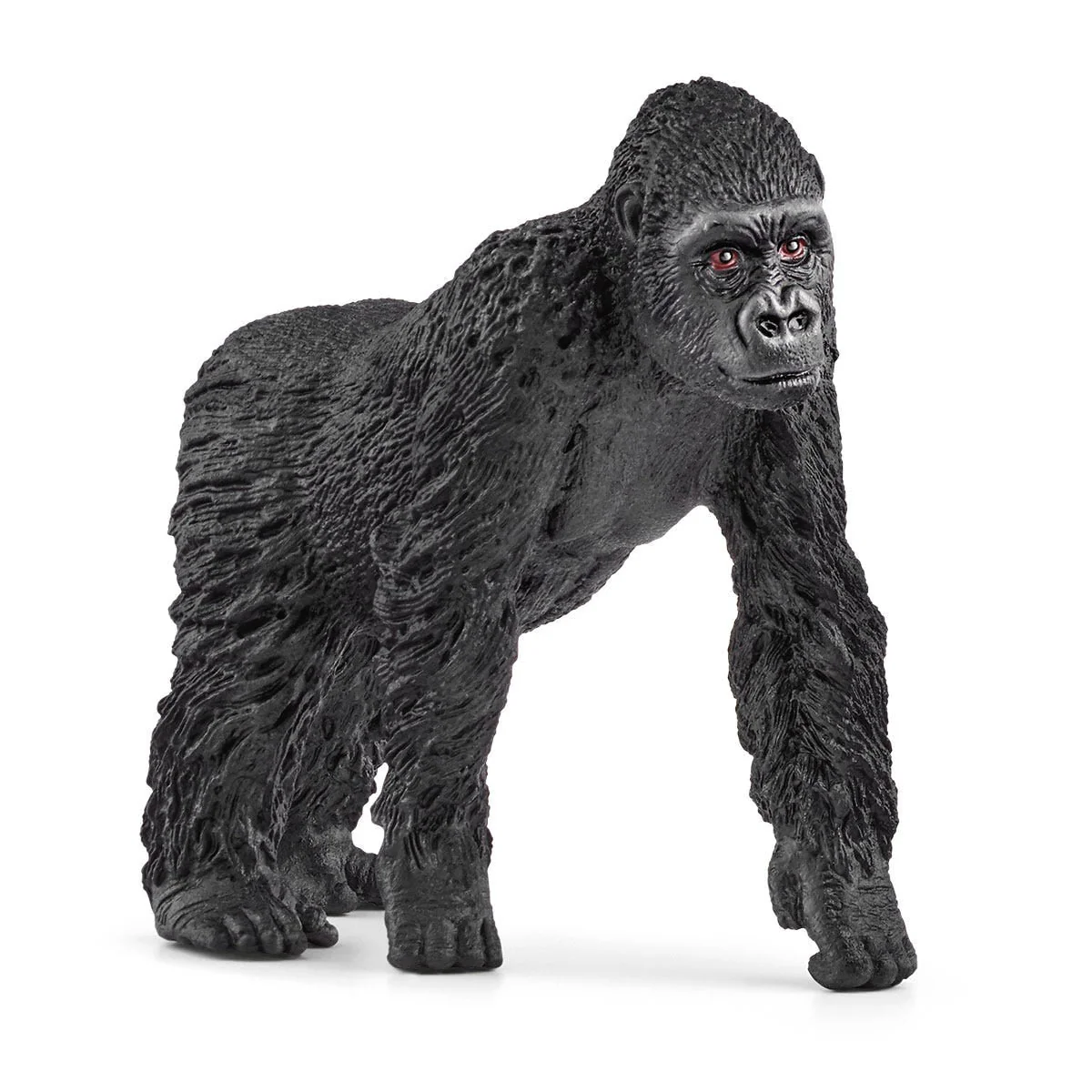 Flachland Gorilla Familie - Image 3