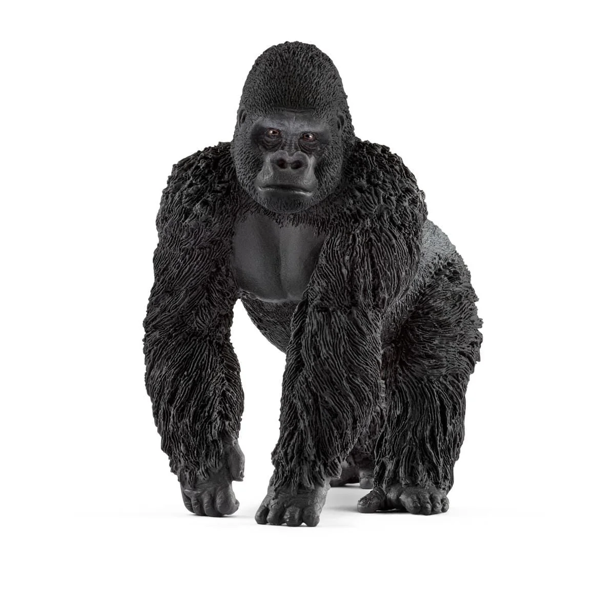 Gorilla Männchen