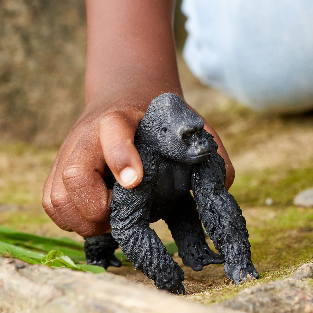 Gorilla Männchen - Image 4