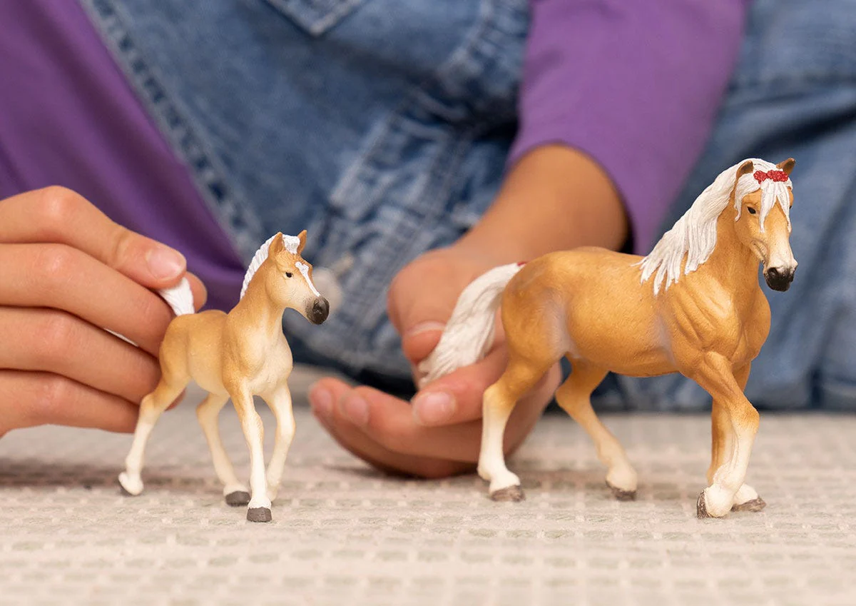 Haflinger Stute - Image 2