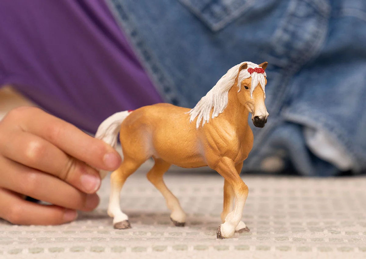 Haflinger Stute - Image 3