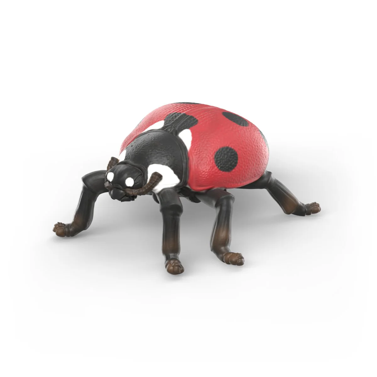 Insekten Entdecker Set - Image 5