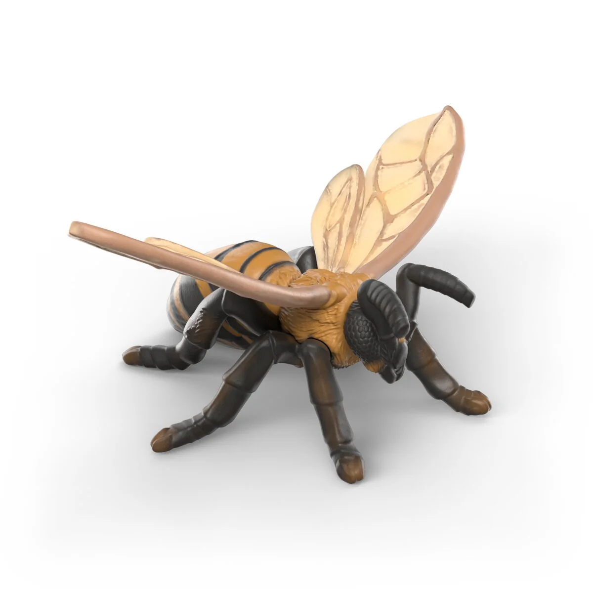 Insekten Entdecker Set - Image 6