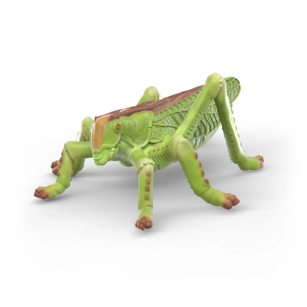 Insekten Entdecker Set - Image 7