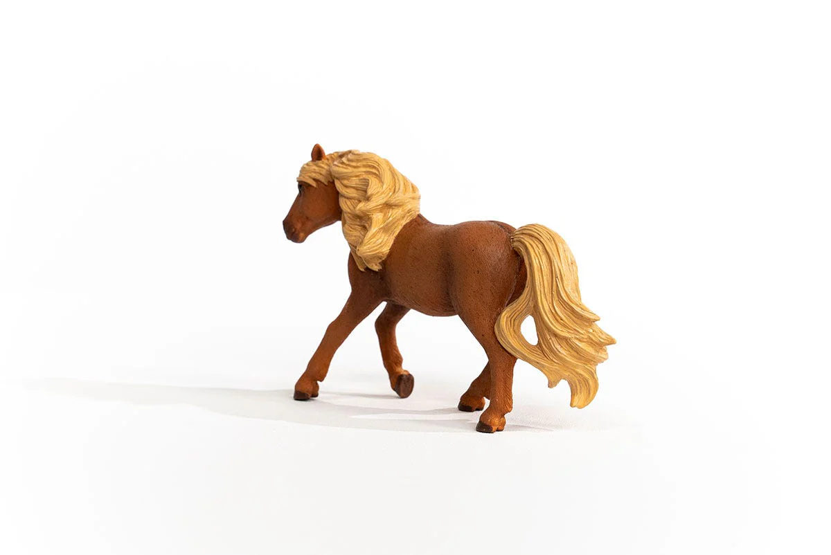 Island Pony Hengst - Image 2