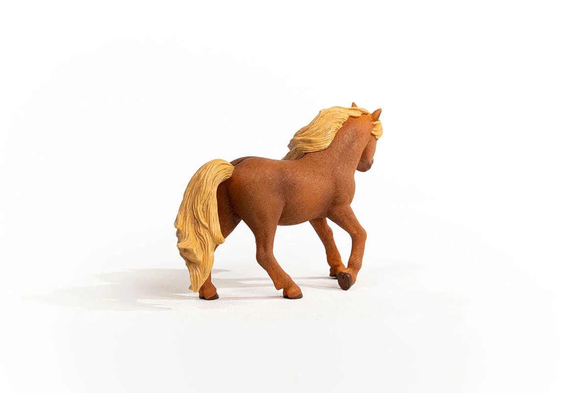 Island Pony Hengst - Image 3