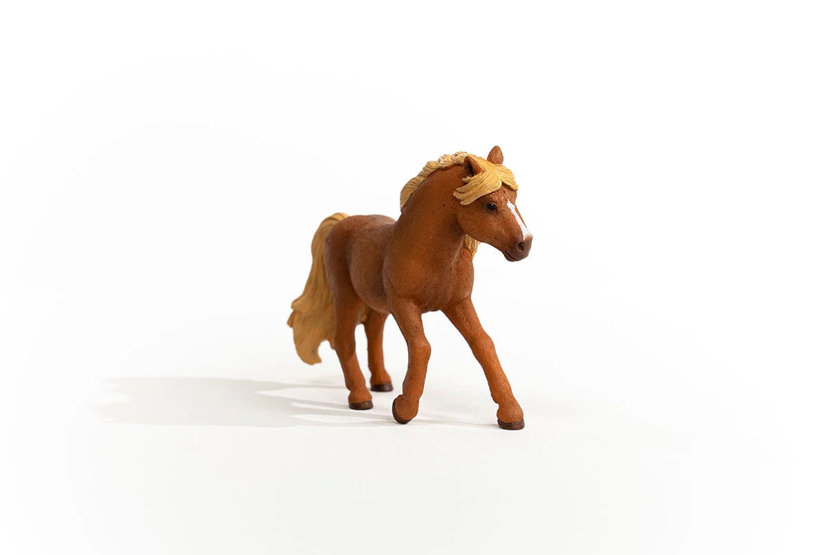 Island Pony Hengst - Image 4