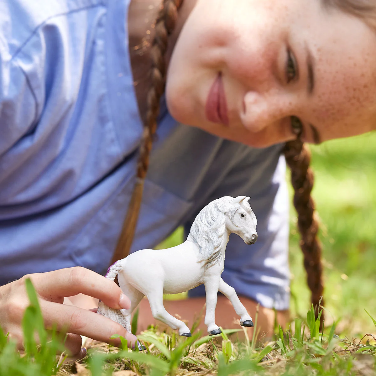 Island Pony Stute - Image 2
