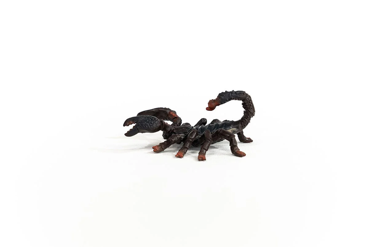 Kaiserskorpion - Image 3