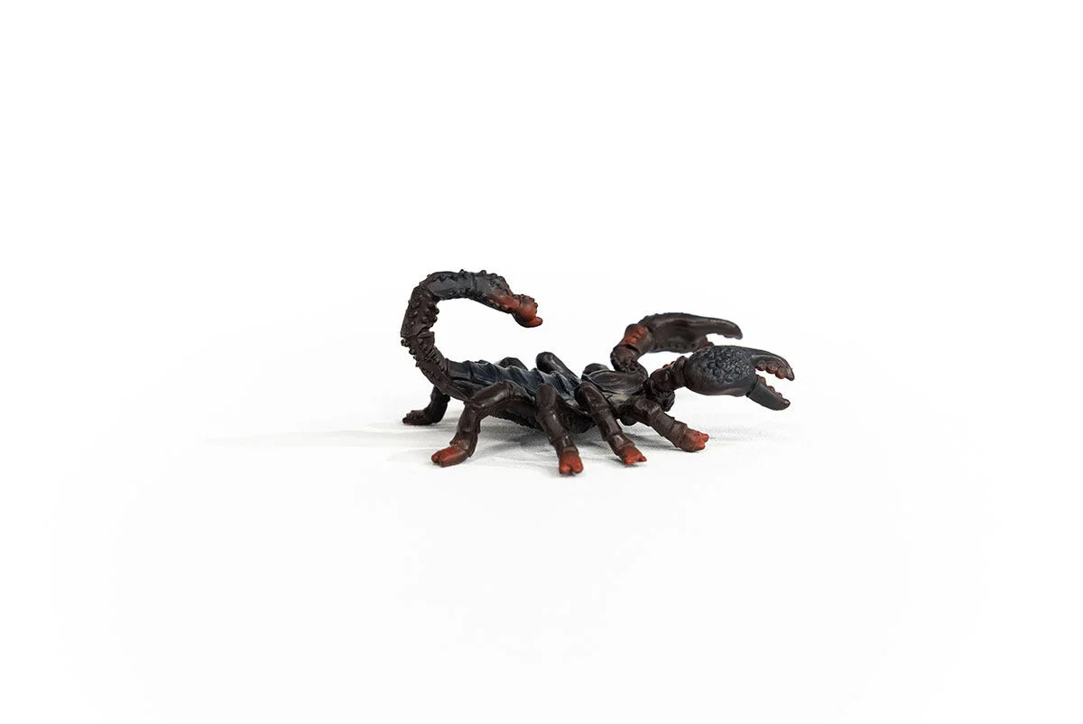 Kaiserskorpion - Image 5