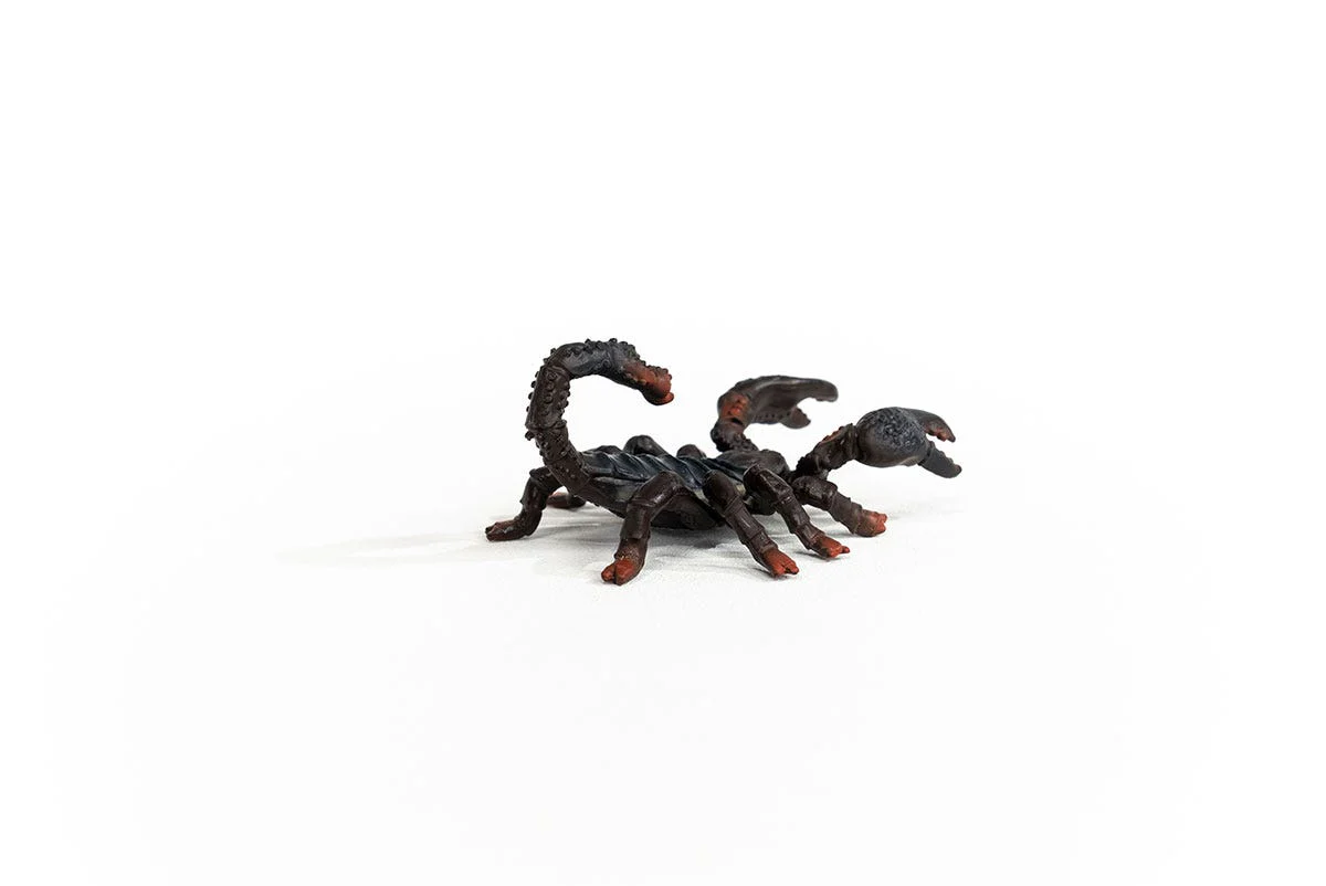 Kaiserskorpion - Image 6