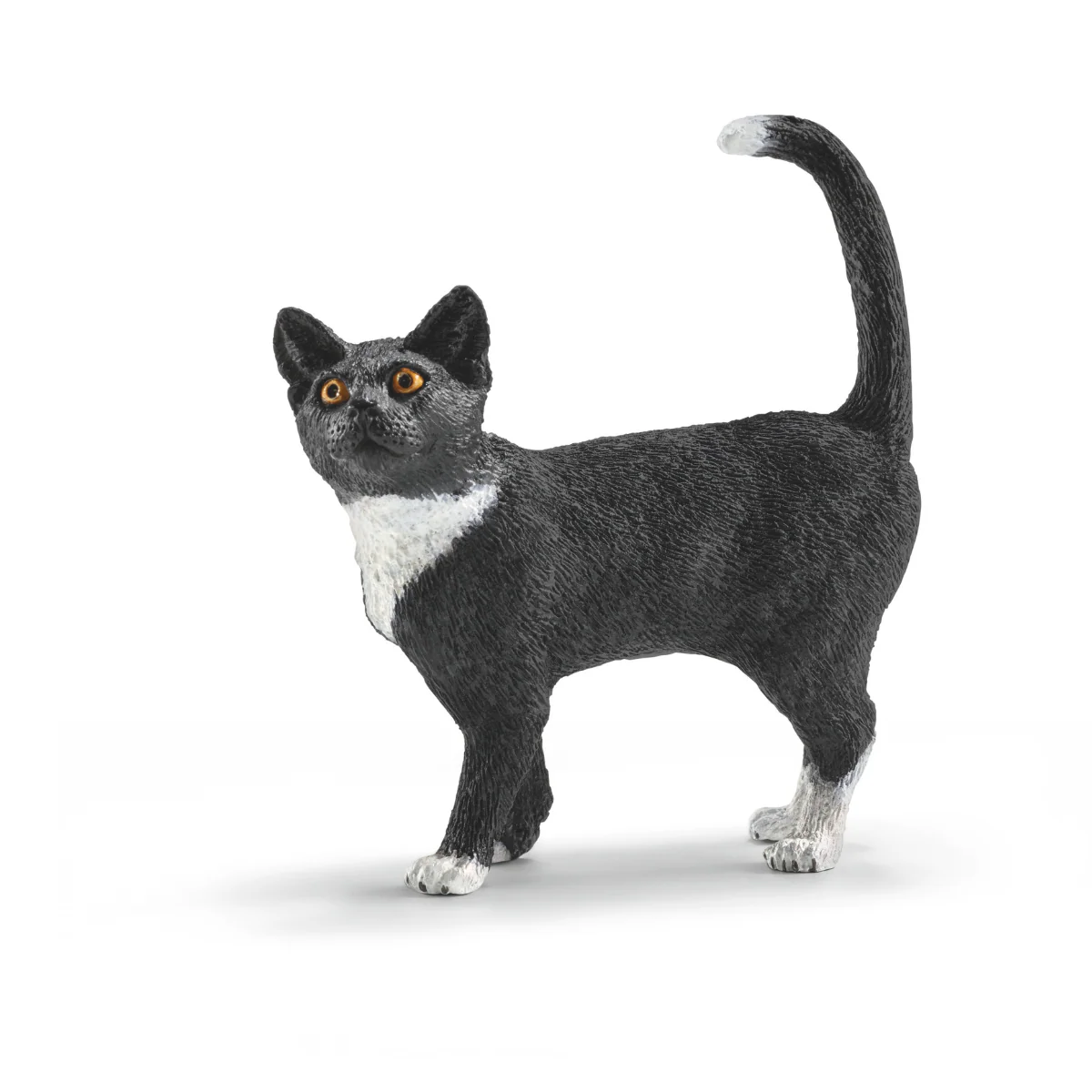 Katze, stehend (Bundle)