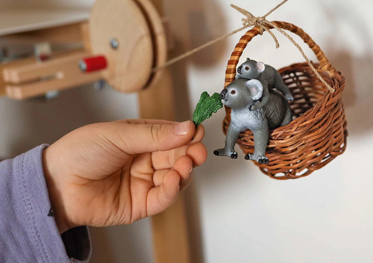 Koala Mutter mit Baby - Image 4