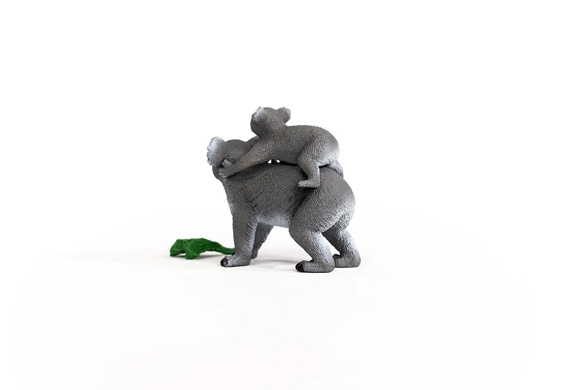Koala Mutter mit Baby - Image 9