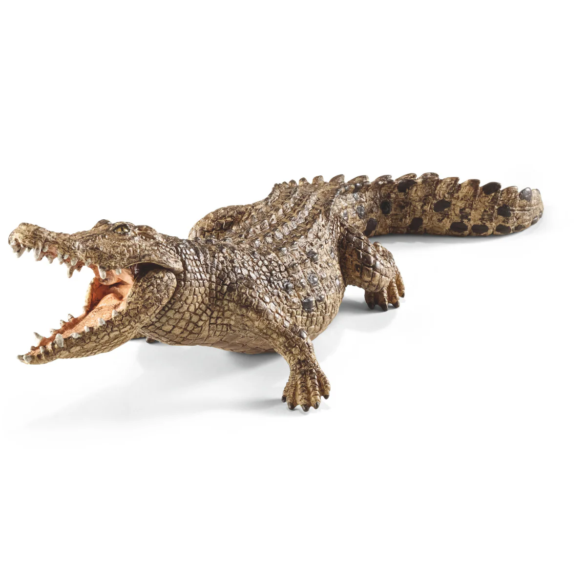 Krokodil (Bundle)