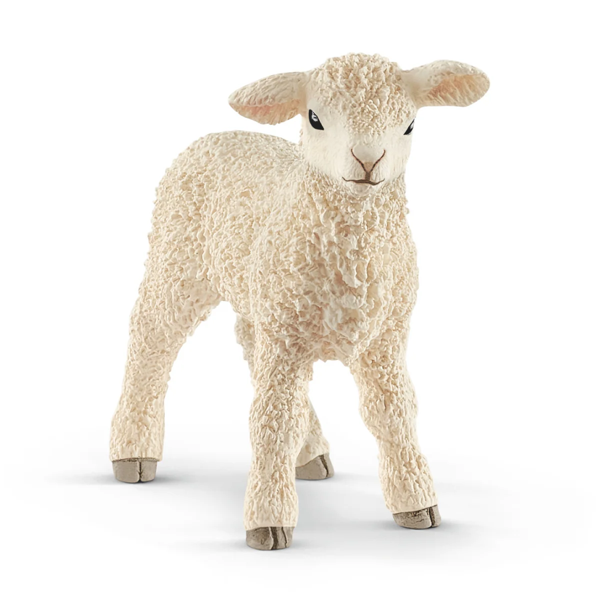 Lamm (Bundle)