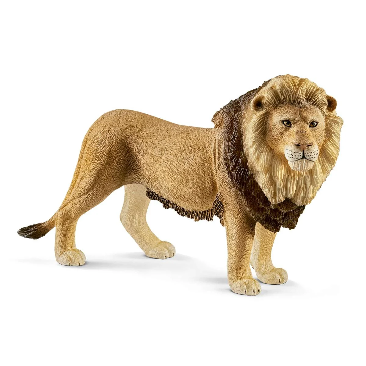 Löwe (bundle)