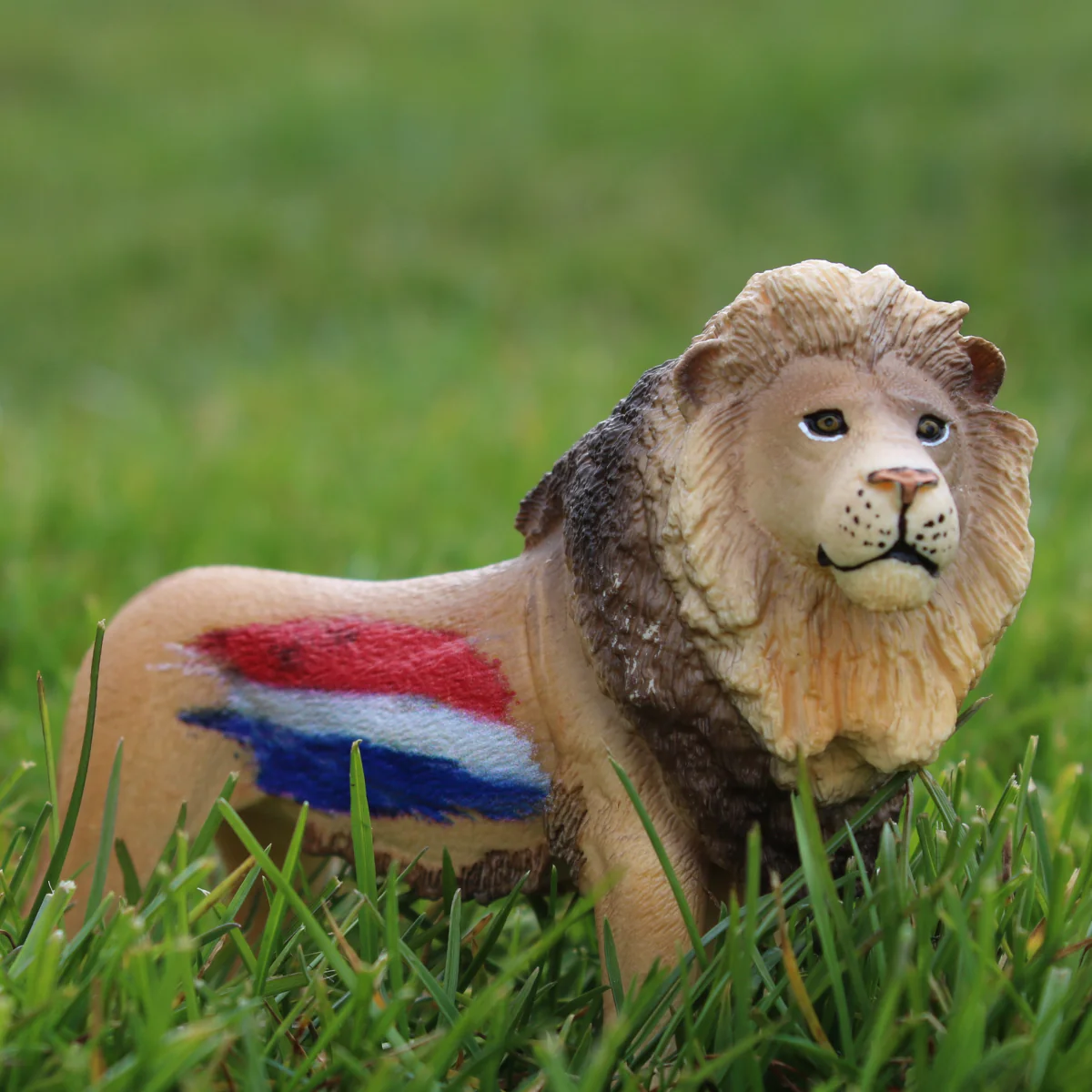 Löwe Niederlande - Image 2