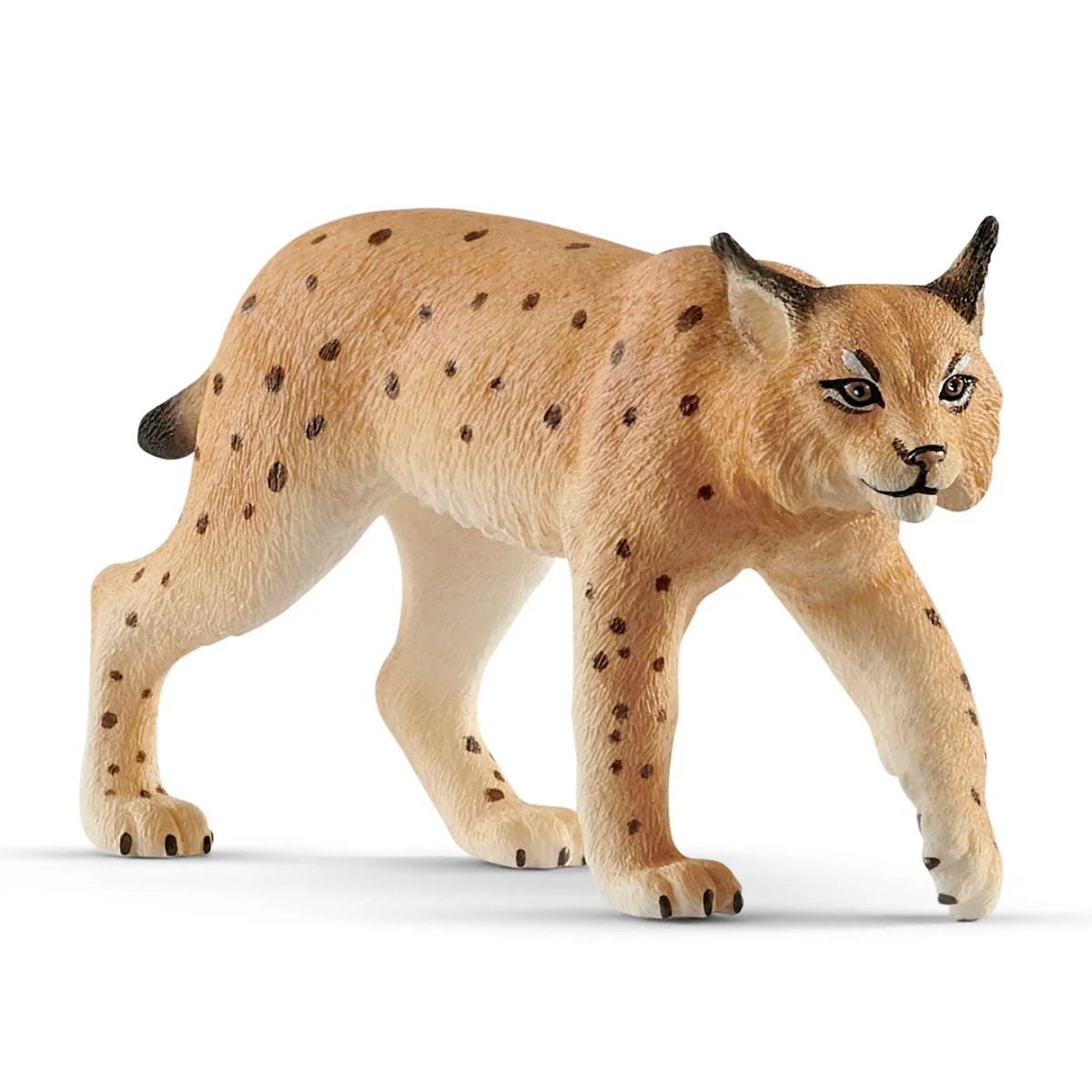 Luchs (bundle)
