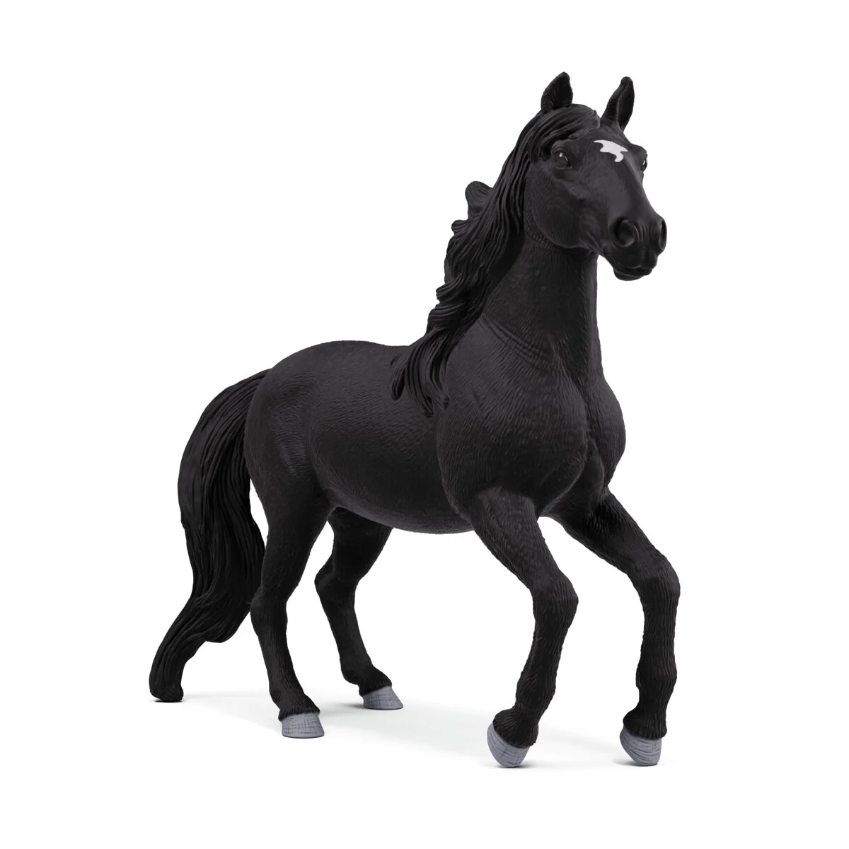 Lusitano Hengst